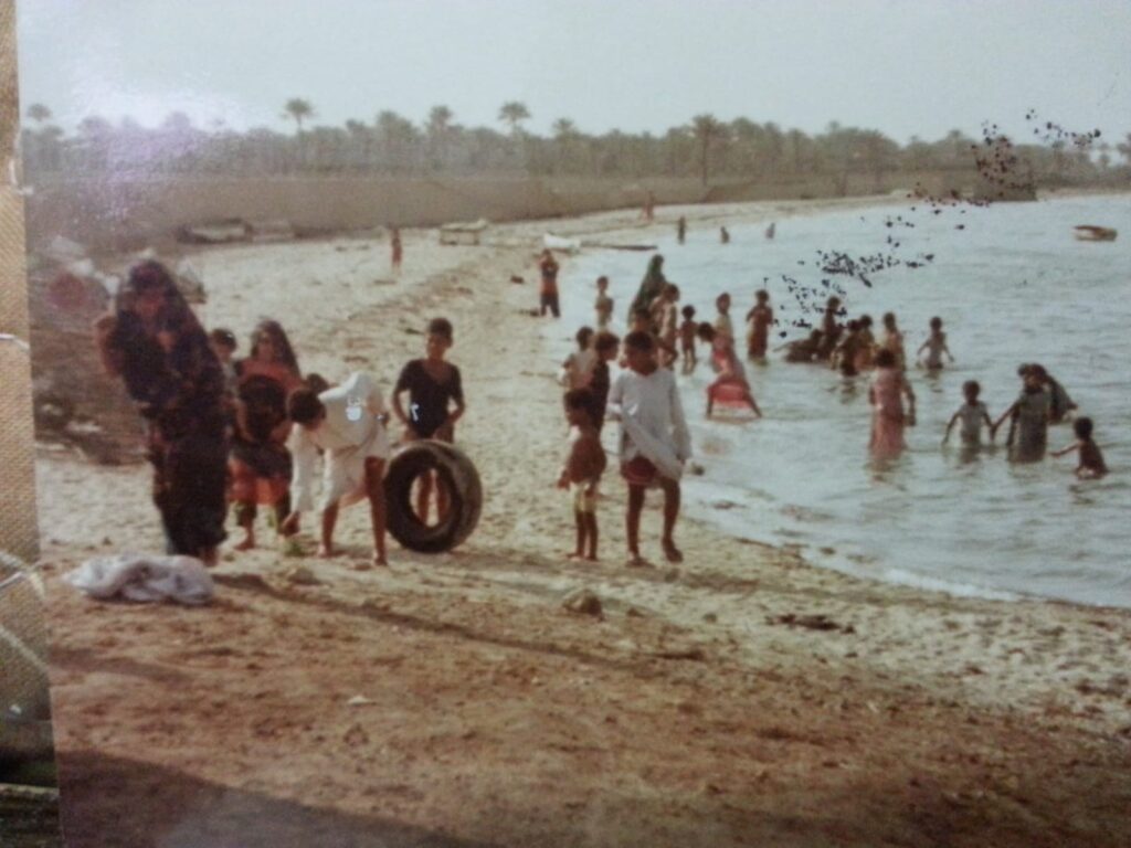 ارشيف المالكية