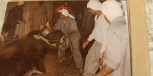 السيد سبت السيد عباس (1)