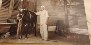 السيد سبت السيد عباس (2)