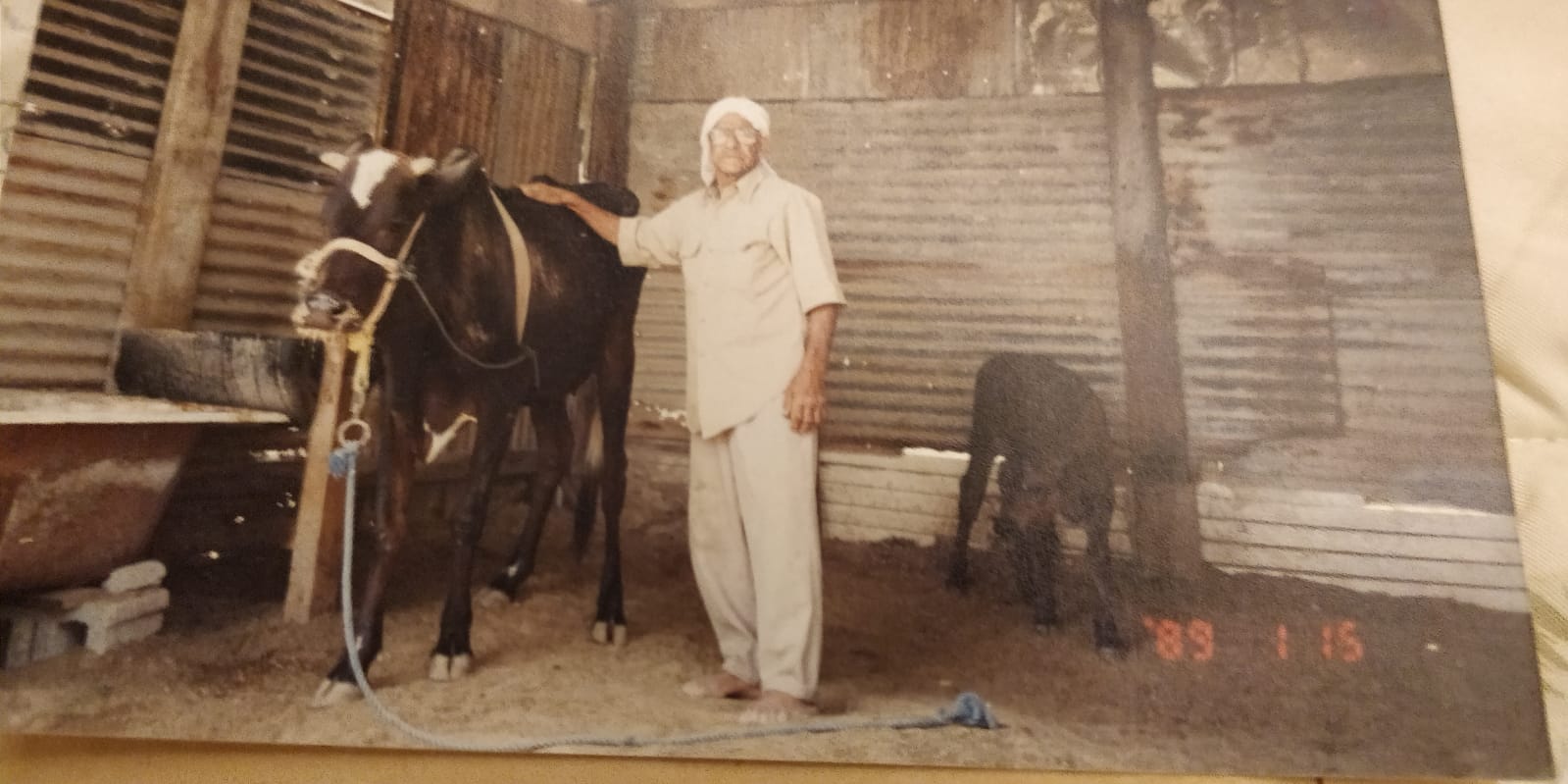 السيد سبت السيد عباس (2)