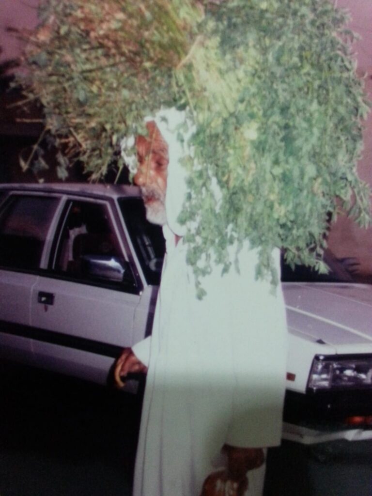 ارشيف المالكية