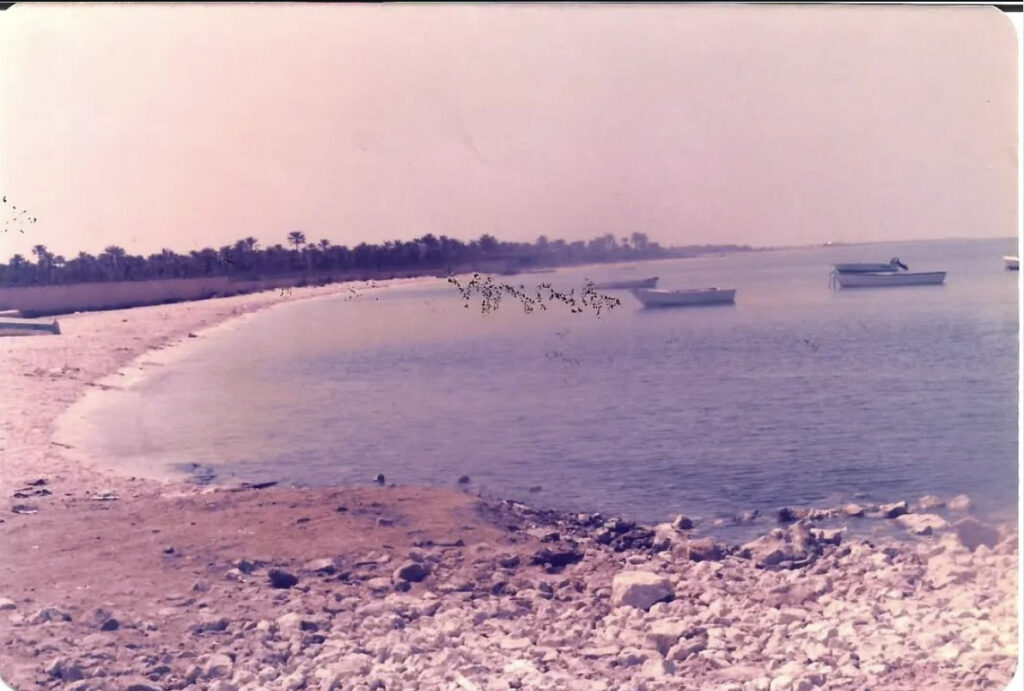 ساحل المالكية